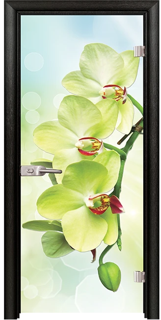 Стъклена врата Print G 13-3 Green, Черна мура