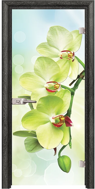 Стъклена врата Print G 13-3 Green, Сив ясен