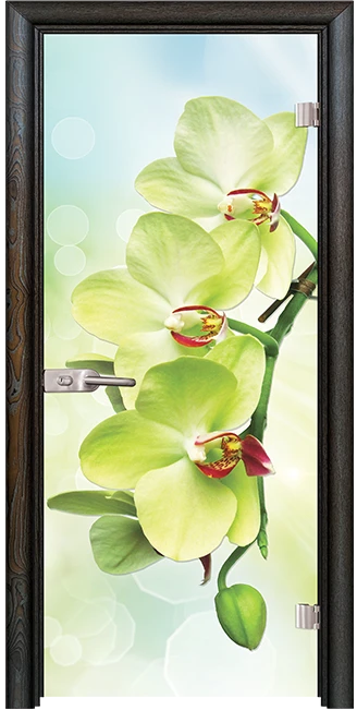Стъклена врата Print G 13-3 Green, Палисандър