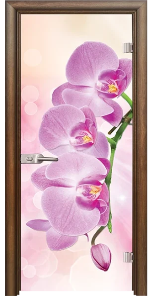 Стъклена врата Print G 13-3 Pink, Императорска акация