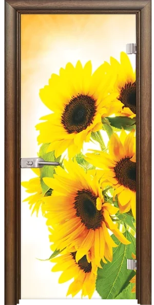 Стъклена врата Print G 13-4, Императорска акация