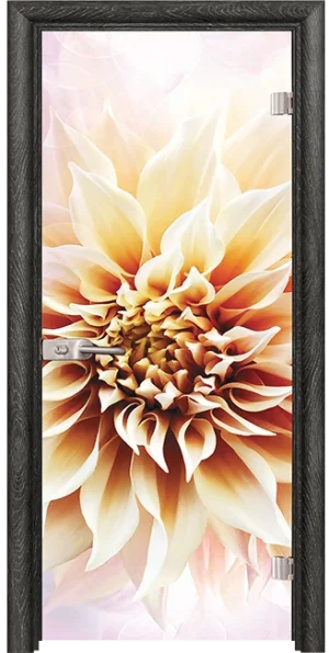 Стъклена врата Print G 13-5, Сив ясен